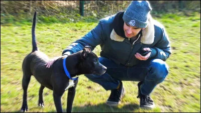 En 2018, VodK a également adopté un chien, du nom de...