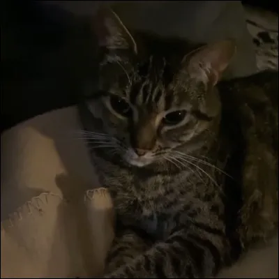 June ! À qui appartient-elle ?