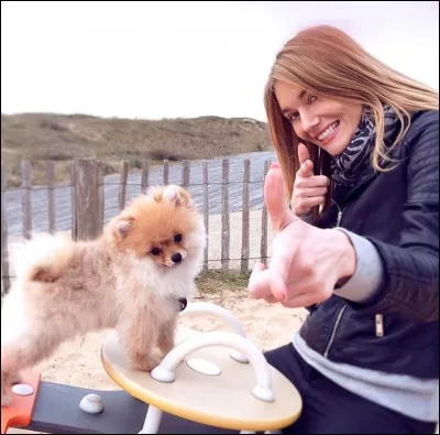 Quelle est la race de Reese, le chien d'Andy ?