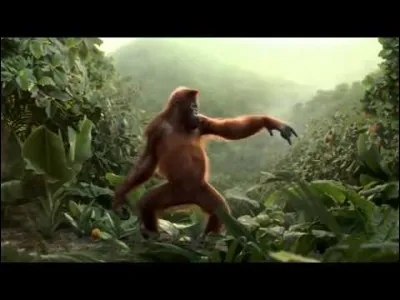 Mammif&egrave;re ongul&eacute; d'Afrique et du Moyen-Orient, herbivore, de la taille d'un lapin !