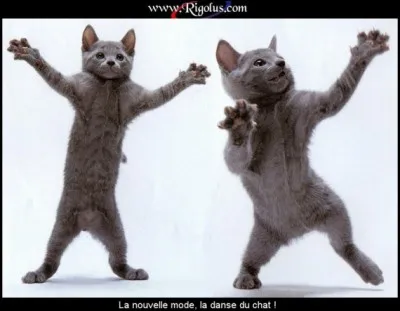 Ouvrage suspendu au-dessus d'un tr&ocirc;ne, d'un autel !