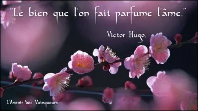 Il vaut mieux qu'elle soit douce.