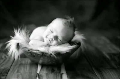 Elle a l'air tr&egrave;s doux.