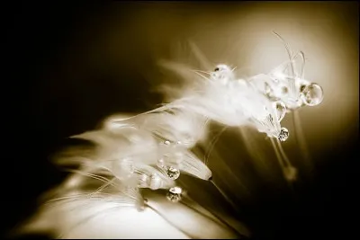 Douce dans le cours.