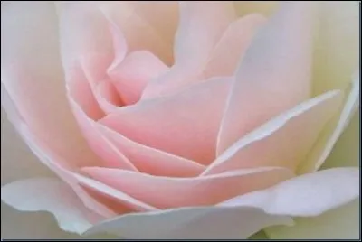 Fait les yeux doux &agrave; Oscar.