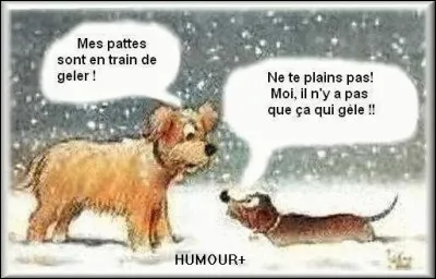 Expression populaire : savoir rester calme !