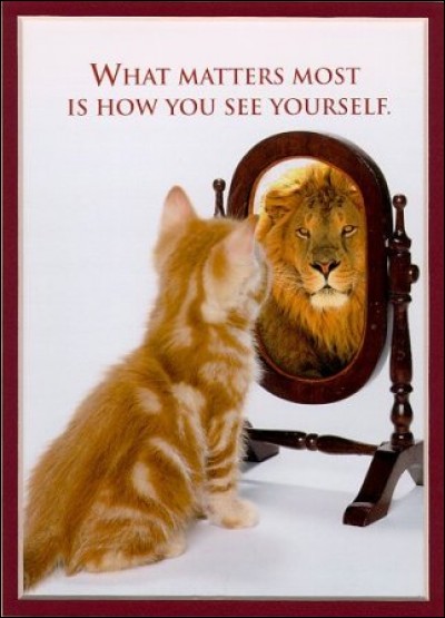 Miroir, mon beau miroir, trouve la bonne expression !