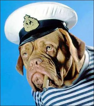 Célèbre citation d'acteur !