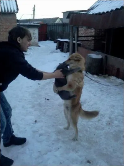 Slogan de SOS Racisme !