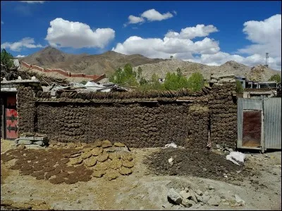 Si je vous dis : « Animal du Tibet », vous répondez :