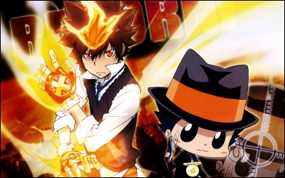 Terminons avec "The Katekyō Hitman Reborn !". Combien de combats Gokudera Hayato a gagné ?