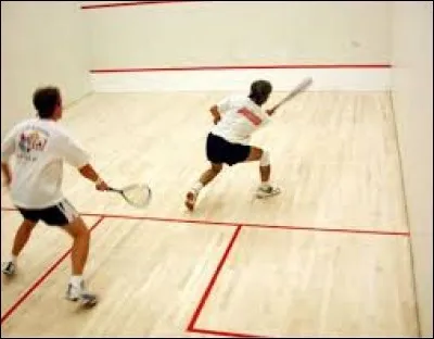 En 2017, quel joueur de squash redevient num&eacute;ro un mondial &agrave; 34 ans apr&egrave;s avoir remport&eacute; le British Open ?