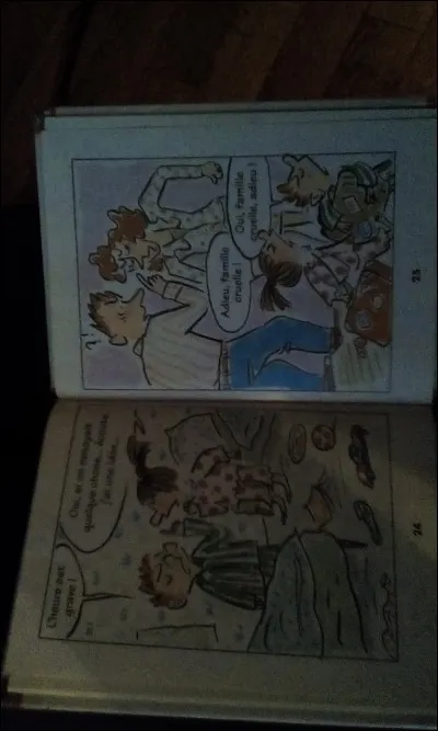 Dnas quel livre trouve-t-on ces deux pages ?