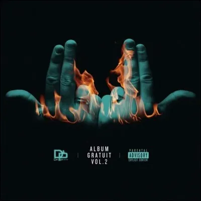 Complète, coche la bonne réponse.. 
"J'l'aime naturel sans []"