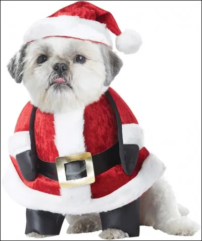 En France, dans quelle ville se trouve l'adresse du père Noël ?