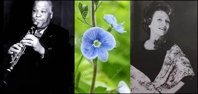 Cette chanson n'a reçu ses premières paroles que 7 ans après la création de sa version instrumentale ! Cette version est jouée au saxophone. Quelle est cette chanson ?

« Quand la vie
Par moments me trahit
Tu restes mon bonheur
Petite fleur

Sur mes vingt ans
Je m'arrête un moment
Pour respirer
Ce parfum que j'ai tant aimé »