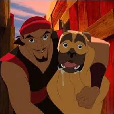 Sinbad - Dans le film "Sinbad : La Légende des sept mers", quel métier exerce Sinbad ?
