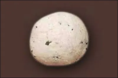 Quel est le nom de ce fromage ?