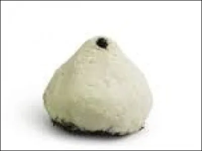 Quel est le nom de ce fromage ?