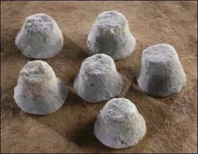 Quel est le nom de ce fromage ?