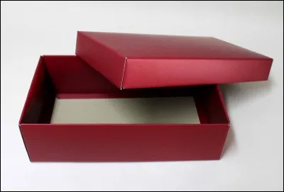 Je reçois des enfants sur mon plateau de la chaîne Gulli. Qui suis-je ?