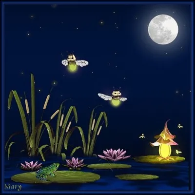 Lequel de ces marais est caractérisé par 3000 maisons construites aux alentours, toutes avec des toits de chaume ?