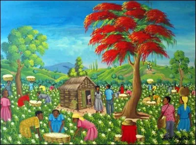 Où est située la montagne Maromokotro ?