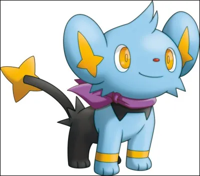 De quel type est Lixy ?