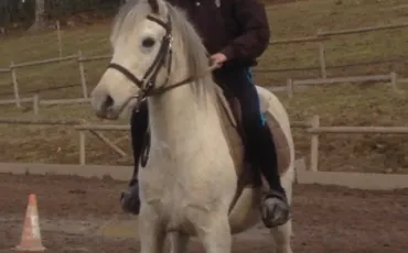 Quiz Galop 2