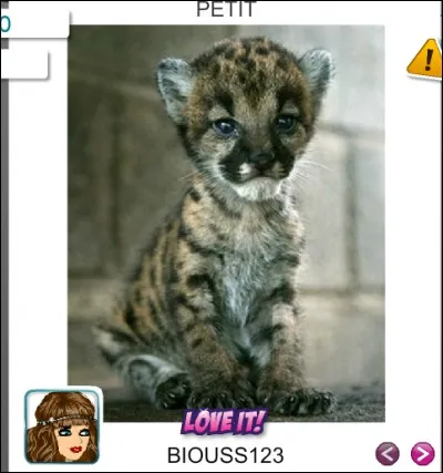 Peux-tu mettre des photos ?