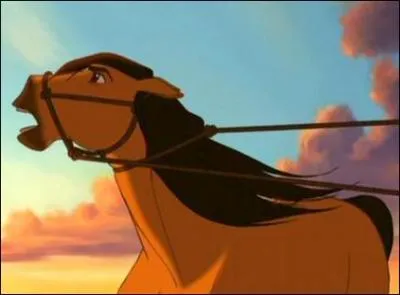 Quelle est la robe de ce cheval ?