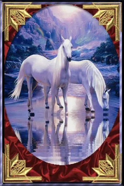 Quelle est la robe de ce cheval ?