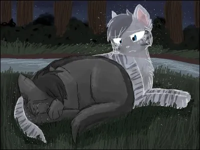 Quel couple est-ce ?