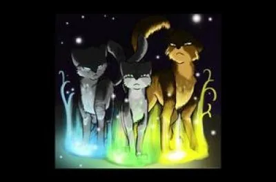 Qui sont vraiment les trois élus ?