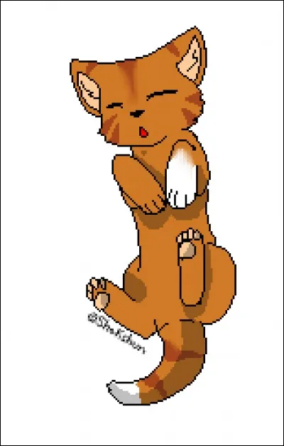 D'où vient la "patte blanche" de Poil d'Écureuil?