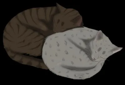 Combien de petits Pelage de Poussière et Fleur de Bruyère ont-ils eu?