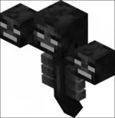 Que donne le wither une fois tué ?