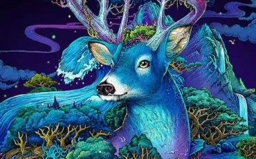 Quiz Illustrations