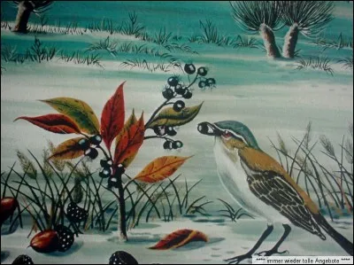 Parmi ces trois baies toxiques, laquelle n'est pas de couleur noire ?