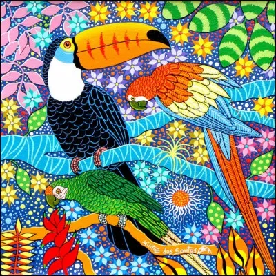 Quel est le nom de cet oiseau ?