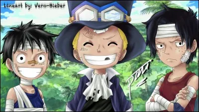 Qui sont les frères de Sabo, Ace et Luffy ?