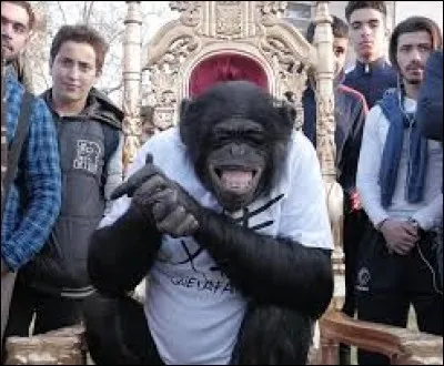 Quelle musique a fait augmenter pour la première fois, de manière importante, l'audience de PNL ?