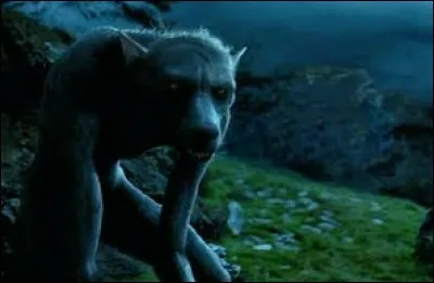 Quelle est la vraie nature du professeur Lupin ?