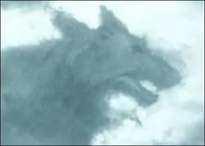 Quel animal prédit la mort ?