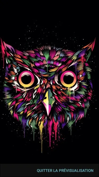 Quel animal vois-tu sur cette image ?