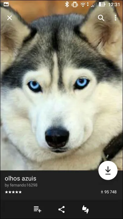 Quel animal vois-tu sur cette image ?