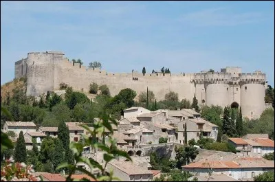 Cette ville de 11 000 habitants, bordée par le Rhône, située en face d'Avignon, c'est :