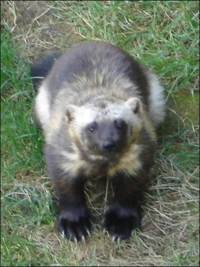 La r&eacute;ponse est class&eacute;e X !