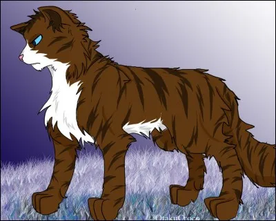 Je suis morte en pensant qu'Étoile du Tigre était Cœur de Chêne. Qui suis-je ?