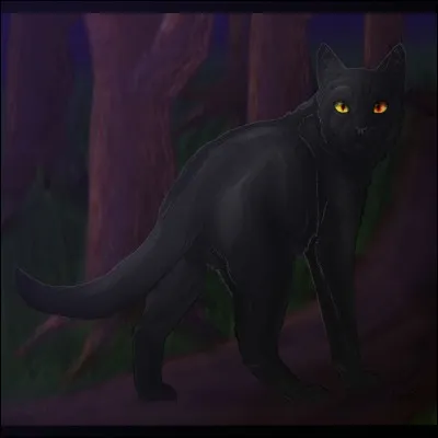 Je suis parti rejoindre le clan des Étoiles en tombant dans les gorges. J'appartenais au clan de la Rivière. Qui suis-je ?